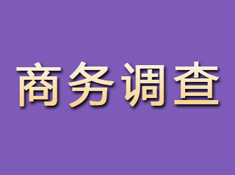 武汉商务调查